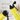 #farbe_lemonade