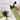 #farbe_matcha-green