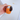 #farbe_orange